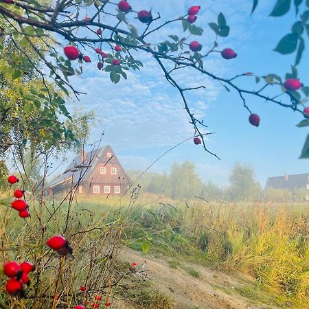 Chata Waliszow Nowy Waliszow المظهر الخارجي الصورة