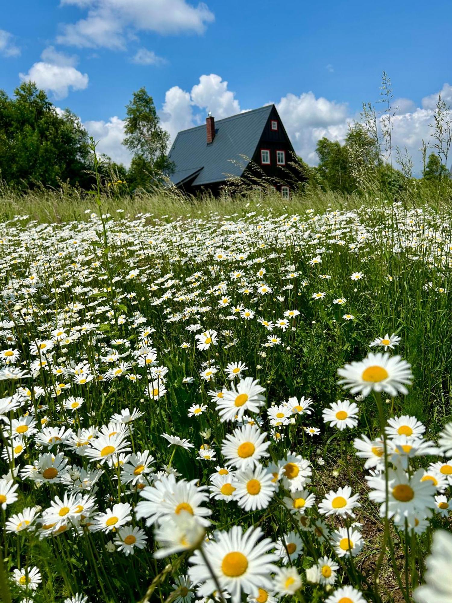 Chata Waliszow Nowy Waliszow المظهر الخارجي الصورة