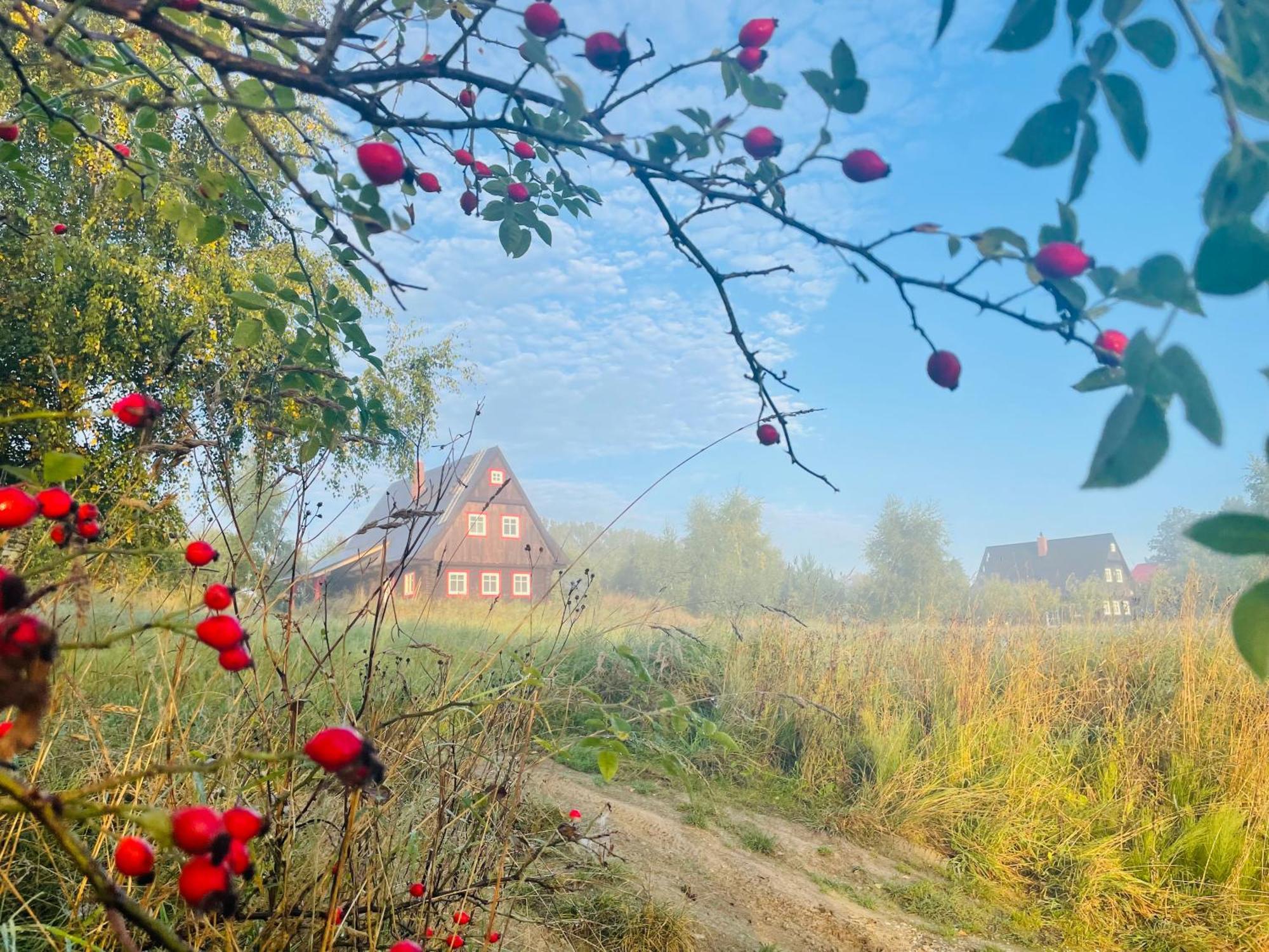 Chata Waliszow Nowy Waliszow المظهر الخارجي الصورة